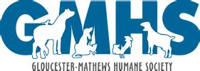 Gloucester mathews humane society - Have you met Mouse?! This young, playful gal is looking for her perfect match! She is deaf and working to learn hand signals. If you like activities...